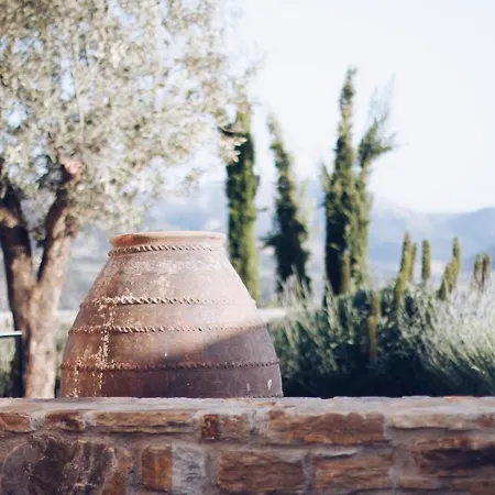 Ayiopetra Exclusive Getaways * Káto Sangríon