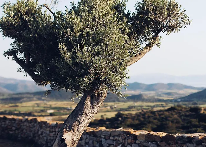 Ayiopetra Exclusive Getaways *