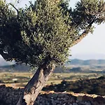 Ayiopetra Exclusive Getaways *